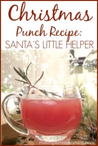 BEST-Christmas-Punch-Recipe-EVER